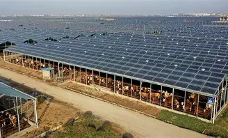 Dairy Farm Installation